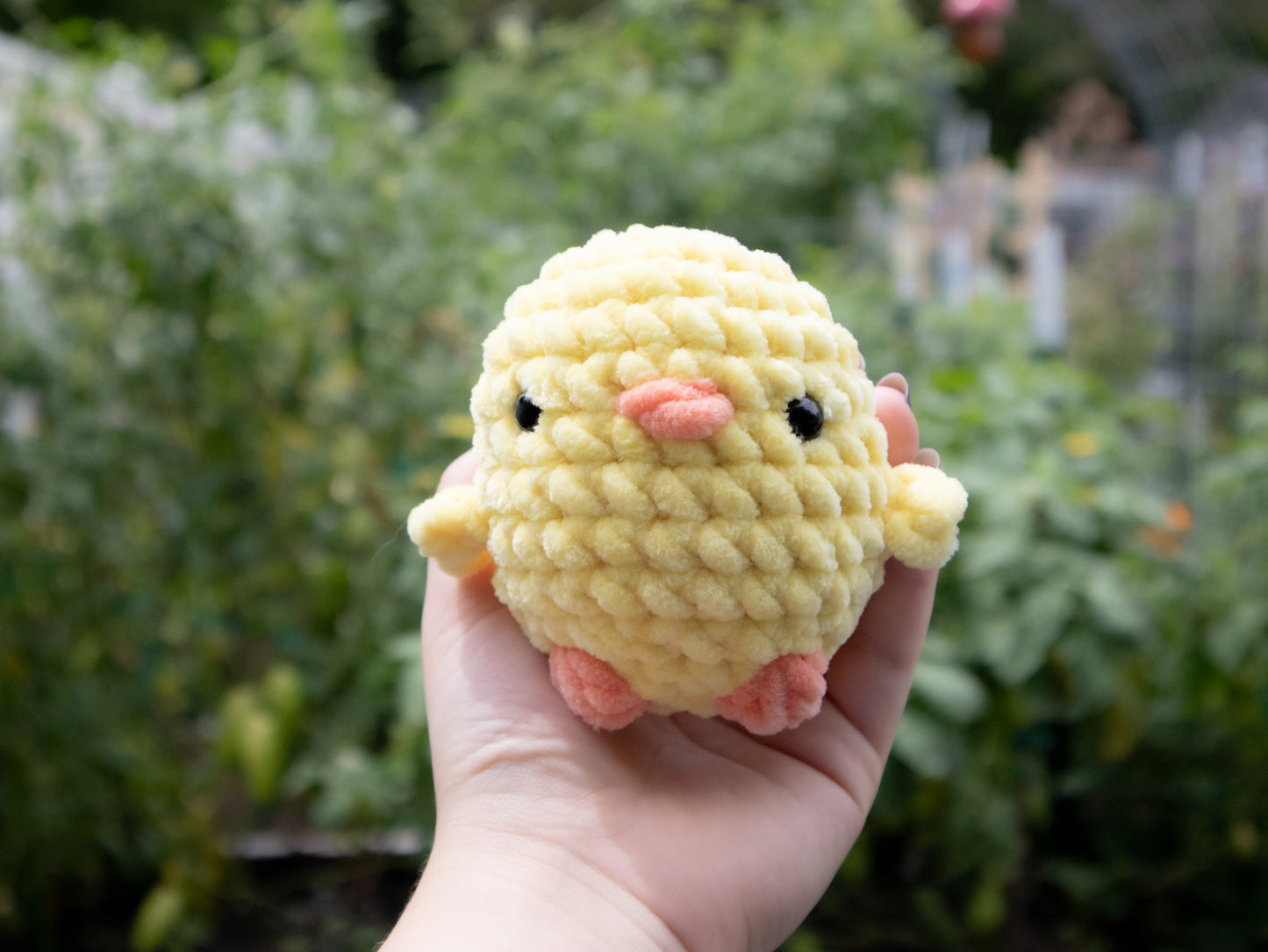 Chick Stuffie